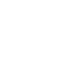 tick