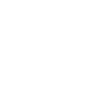 analytic icon